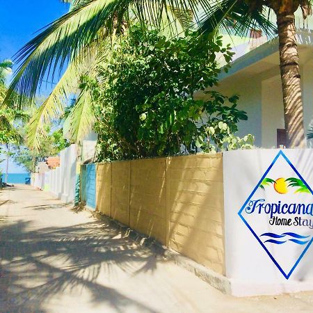Tropicana Home Stay อารูกัมเบย์ ภายนอก รูปภาพ